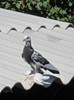 SAM_2541