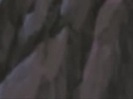 19900436_PRXWPTSFY