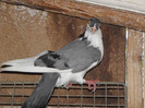 P8140081