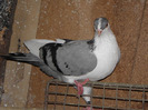 P8140053