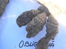 Picture 2202