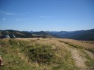 Picture 2235