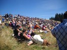 Picture 2285