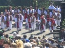 Picture 2291
