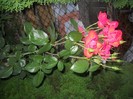 Picture 2382