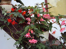 DSC03337