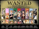 One_Piece_Wanted_by_CosmoJames1