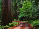 NATURE8