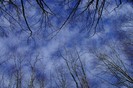 NGVlYTVmYmY4OThkZmZiMzQyNWVjZGI1Mjk4ODIxMTfoto_17273