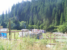 DSCF0573