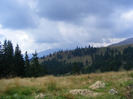DSCF0590