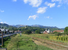 DSCF0812
