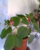 Fotogr.0343