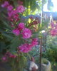Fotogr.0365