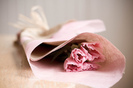 tumblr_kwl5cvJRPs1qzeh8no1_500