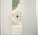 tumblr_l72p59uE6r1qzeh8no1_500