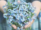 tumblr_l659twJ6Ch1qzeh8no1_500