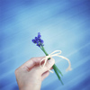 tumblr_lb97vbDk5N1qzeh8no1_500