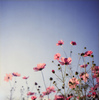 tumblr_lbwrv1B8Wo1qzeh8no1_500