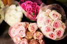 tumblr_lbyadcCYHV1qzevelo1_500