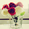 tumblr_lcl2zfS2VH1qzeh8no1_500