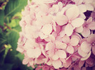 tumblr_ldpqu2J6bo1qzeh8no1_500