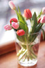 tumblr_lhb2s7DJxy1qzeh8no1_500