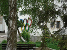 DSC06273