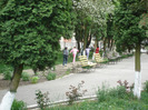 DSC06274
