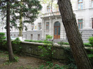 DSC06299