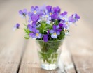 tumblr_kt6djpHd951qzeh8no1_r1_500