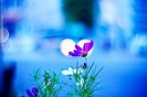 tumblr_ktds4q7bhH1qzeh8no1_500