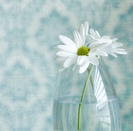 tumblr_kvgfnft1iV1qzeh8no1_500