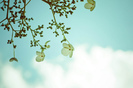 tumblr_kvp1nwfxhk1qzeh8no1_500