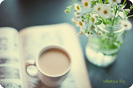 tumblr_kvp15tEbrH1qzeh8no1_500