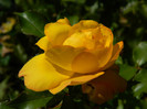 089