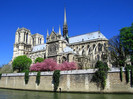 Notre-Dame-din-Paris