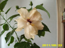 Picture 010