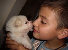 Metis Spitz