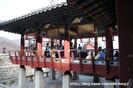 dsc_0040_mbcdong2