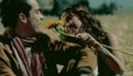 RBD   Celestial (HQ)[1] 264