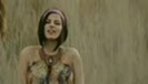 RBD   Celestial (HQ)[1] 345