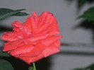 100_4857