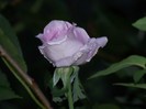 100_4872