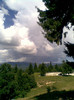 In poiana...