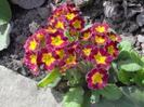 images (17)
