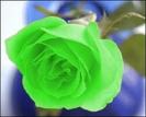 13ZFFFCAZSESROCAMJRUZKCAQ802U3CAU9W6IUCADMEOVFCAPH5G7ECAGNJK8TCA9580S6CAIAEG4NCAISXZRICACARAM6CA08DW