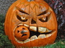 dovleac de halloween-6 poze rihanna