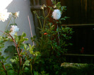 Imag022