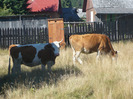P1190350